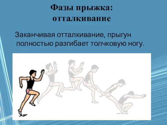 Фазы прыжка: отталкивание Заканчивая отталкивание, прыгун полностью разгибает толчковую ногу.