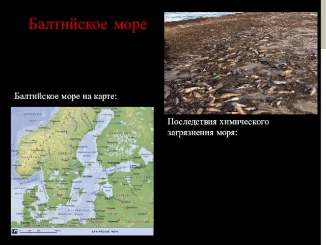 Балтийское море Балтийское море на карте: Последствия химического загрязнения моря: