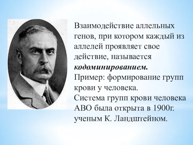 Взаимодействие аллельных генов, при котором каждый из аллелей проявляет свое действие, называется