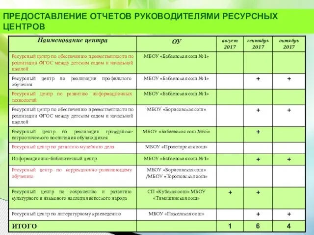 ПРЕДОСТАВЛЕНИЕ ОТЧЕТОВ РУКОВОДИТЕЛЯМИ РЕСУРСНЫХ ЦЕНТРОВ