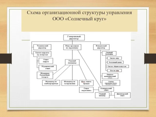 Схема организационной структуры управления ООО «Солнечный круг»