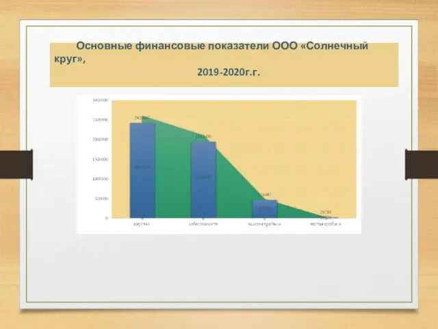 Основные финансовые показатели ООО «Солнечный круг», 2019-2020г.г.