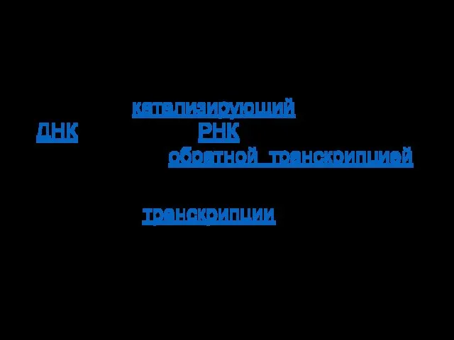 Обратная транскриптаза (также известная как ревертаза или РНК-зависимая ДНК-полимераза) - фермент, катализирующий