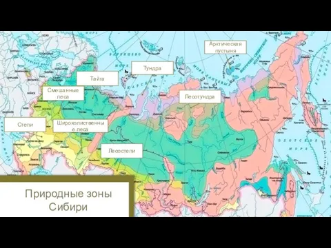 Природные зоны Сибири