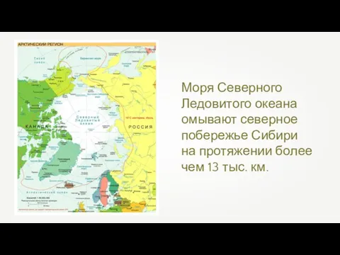 Моря Северного Ледовитого океана омывают северное побережье Сибири на протяжении более чем 13 тыс. км.