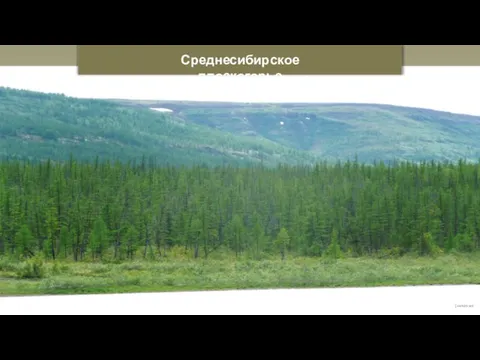 Среднесибирское плоскогорье jxandreani