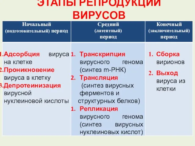 ЭТАПЫ РЕПРОДУКЦИИ ВИРУСОВ