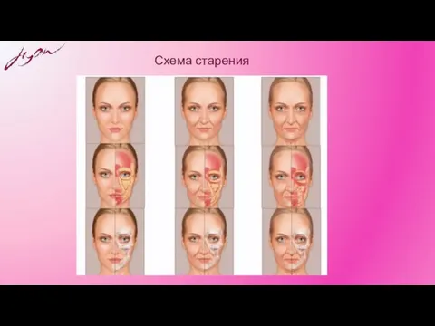 Схема старения