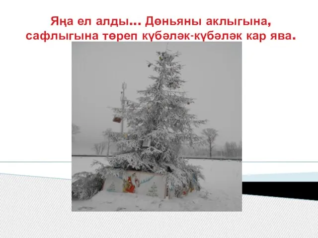 Яңа ел алды... Дөньяны аклыгына,сафлыгына төреп күбәләк-күбәләк кар ява.