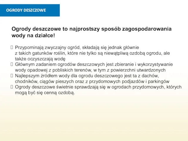 Ogrody deszczowe to najprostszy sposób zagospodarowania wody na działce! Przypominają zwyczajny ogród,