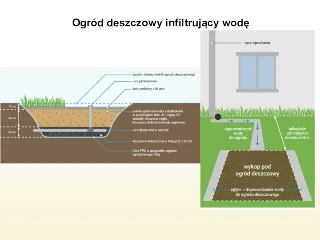 Ogród deszczowy infiltrujący wodę