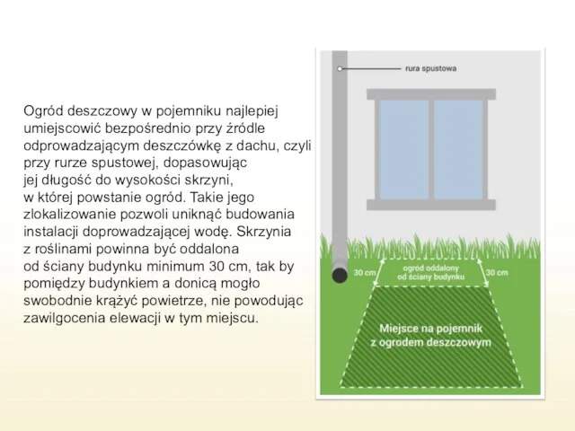 Ogród deszczowy w pojemniku najlepiej umiejscowić bezpośrednio przy źródle odprowadzającym deszczówkę z