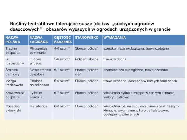 Rośliny hydrofitowe tolerujące suszę (do tzw. „suchych ogrodów deszczowych” i obszarów wyższych