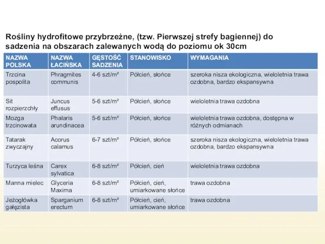 Rośliny hydrofitowe przybrzeżne, (tzw. Pierwszej strefy bagiennej) do sadzenia na obszarach zalewanych