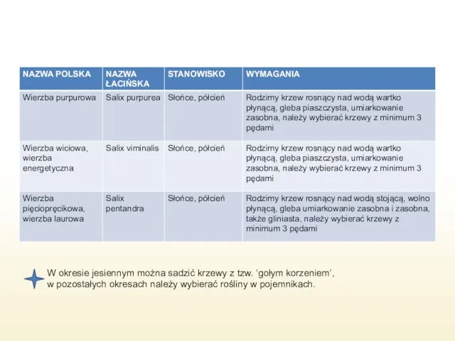 W okresie jesiennym można sadzić krzewy z tzw. ‘gołym korzeniem’, w pozostałych