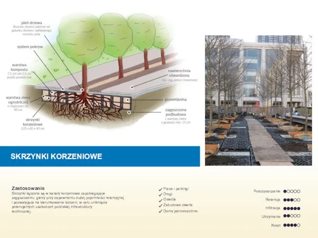 SKRZYNKI KORZENIOWE Zastosowanie Skrzynki łą̨czone są w kanały korzeniowe zapobiegające zagęszczeniu gleby