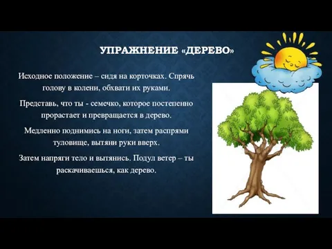 УПРАЖНЕНИЕ «ДЕРЕВО» Исходное положение – сидя на корточках. Спрячь голову в колени,