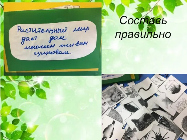 Составь правильно