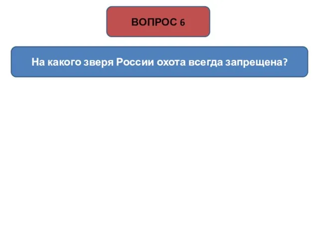 На какого зверя России охота всегда запрещена? ВОПРОС 6