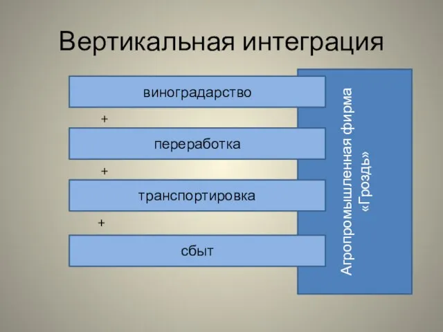 Вертикальная интеграция Агропромышленная фирма «Гроздь» виноградарство переработка транспортировка сбыт + + +