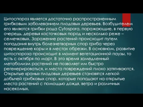 Цитоспороз является достаточно распространенным грибковым заболеванием плодовых деревьев. Возбудителем его являются грибки