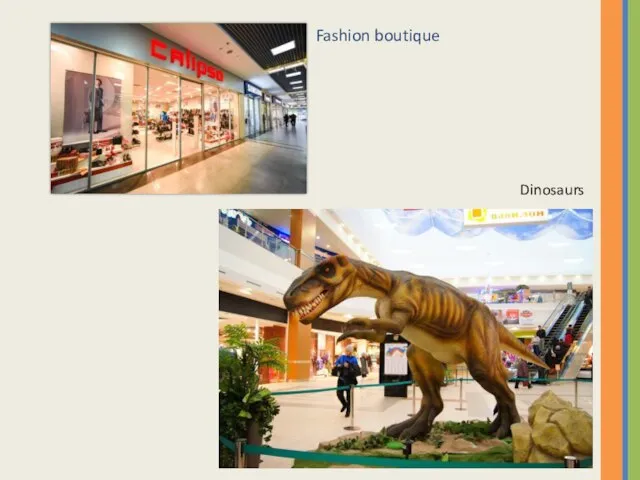 Fashion boutique Dinosaurs