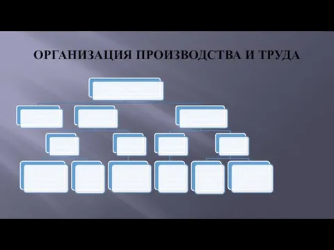 ОРГАНИЗАЦИЯ ПРОИЗВОДСТВА И ТРУДА