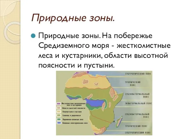 Природные зоны. Природные зоны. На побережье Средиземного моря - жестколистные леса и