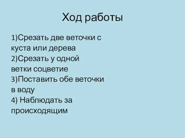 Ход работы 1)Срезать две веточки с куста или дерева 2)Срезать у одной