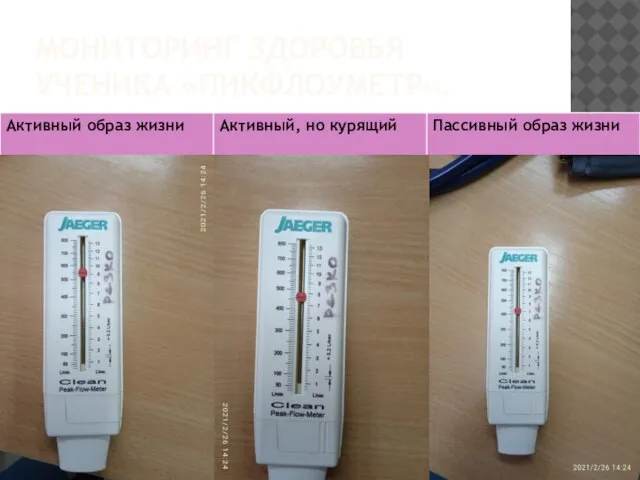 МОНИТОРИНГ ЗДОРОВЬЯ УЧЕНИКА «ПИКФЛОУМЕТР».