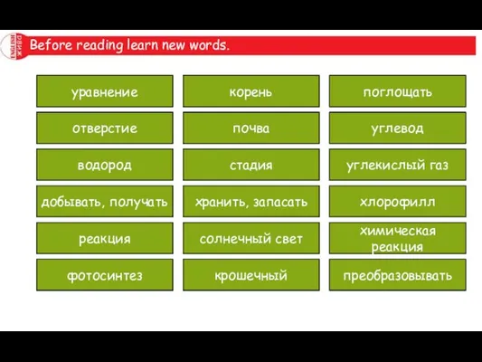 Before reading learn new words. equation hole hydrogen to obtain reaction photosynthesis