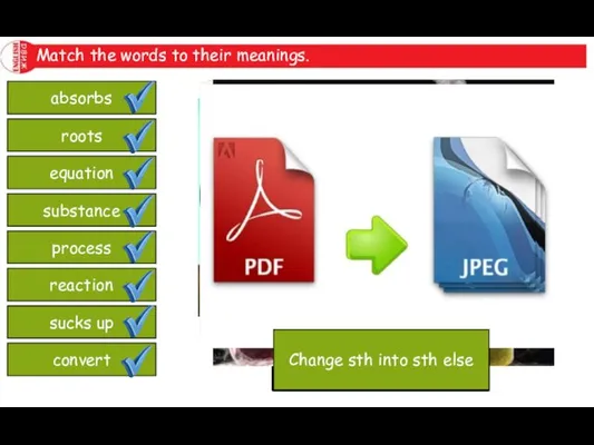 Match the words to their meanings. absorbs roots equation substance process reaction