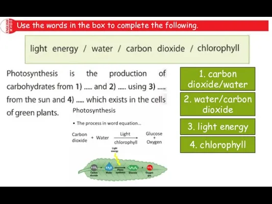 Use the words in the box to complete the following. 1. carbon