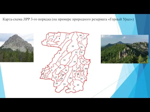 Карта-схема ЛРР 3-го порядка (на примере природного резервата «Горный Урал»)