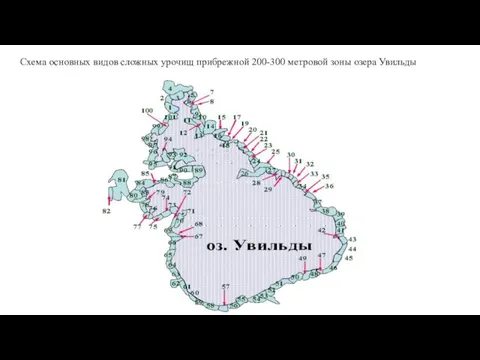 Схема основных видов сложных урочищ прибрежной 200-300 метровой зоны озера Увильды