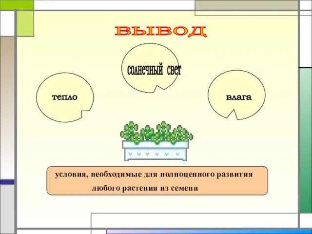 влага солнечный свет тепло условия, необходимые для полноценного развития любого растения из семени вывод