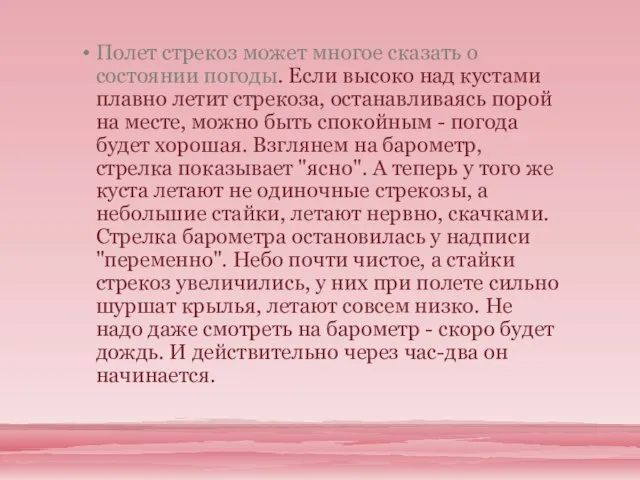 Полет стрекоз может многое сказать о состоянии погоды. Если высоко над кустами