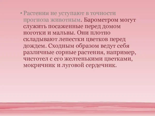 Растения не уступают в точности прогноза животным. Барометром могут служить посаженные перед