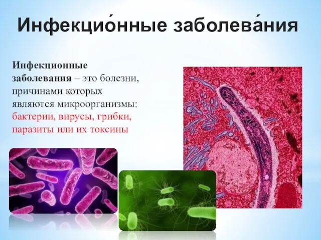 Инфекцио́нные заболева́ния Инфекционные заболевания – это болезни, причинами которых являются микроорганизмы: бактерии,