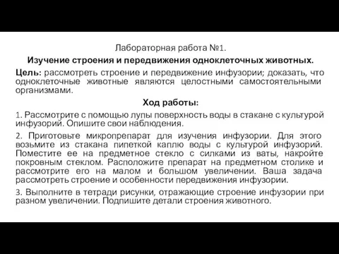 Лабораторная работа №1. Изучение строения и передвижения одноклеточных животных. Цель: рассмотреть строение