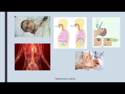 Первичный осмотр