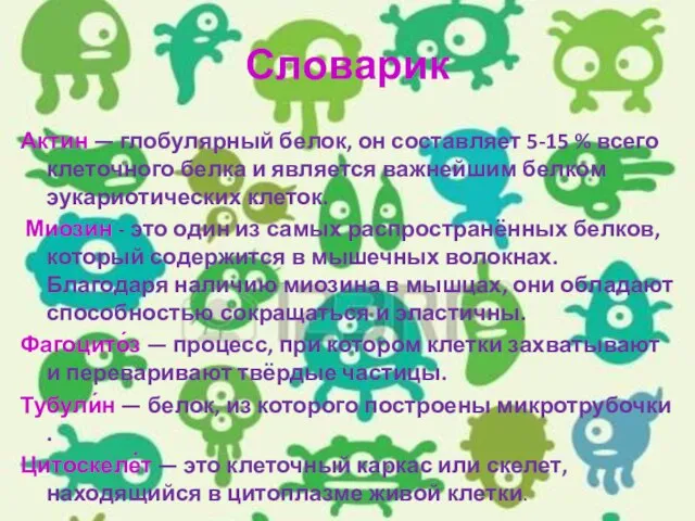 Словарик Актин — глобулярный белок, он составляет 5-15 % всего клеточного белка