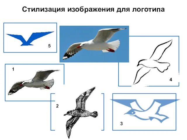 Стилизация изображения для логотипа