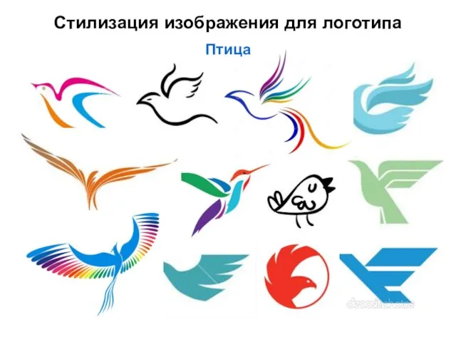 Стилизация изображения для логотипа Птица
