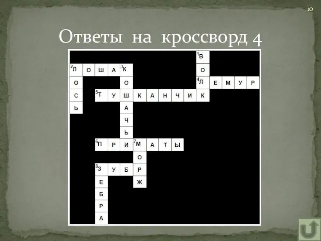 Ответы на кроссворд 4