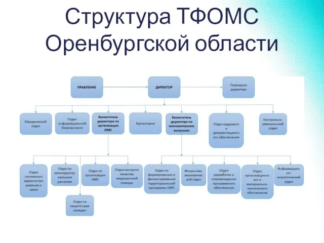 Структура ТФОМС Оренбургской области