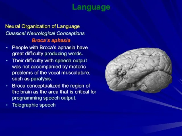 Language Neural Organization of Language Classical Neurological Conceptions Broca’s aphasia People with