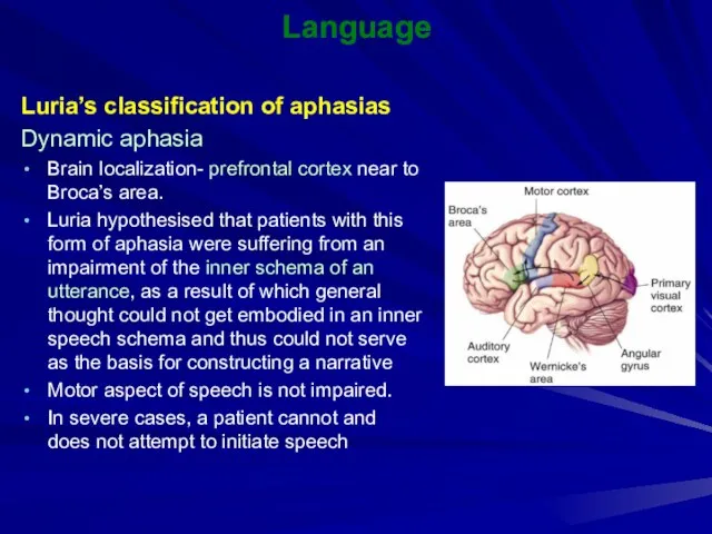 Language Luria’s classification of aphasias Dynamic aphasia Brain localization- prefrontal cortex near