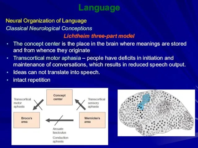 Language Neural Organization of Language Classical Neurological Conceptions Lichtheim three-part model The