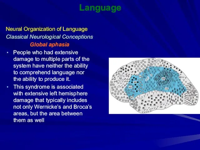 Language Neural Organization of Language Classical Neurological Conceptions Global aphasia People who